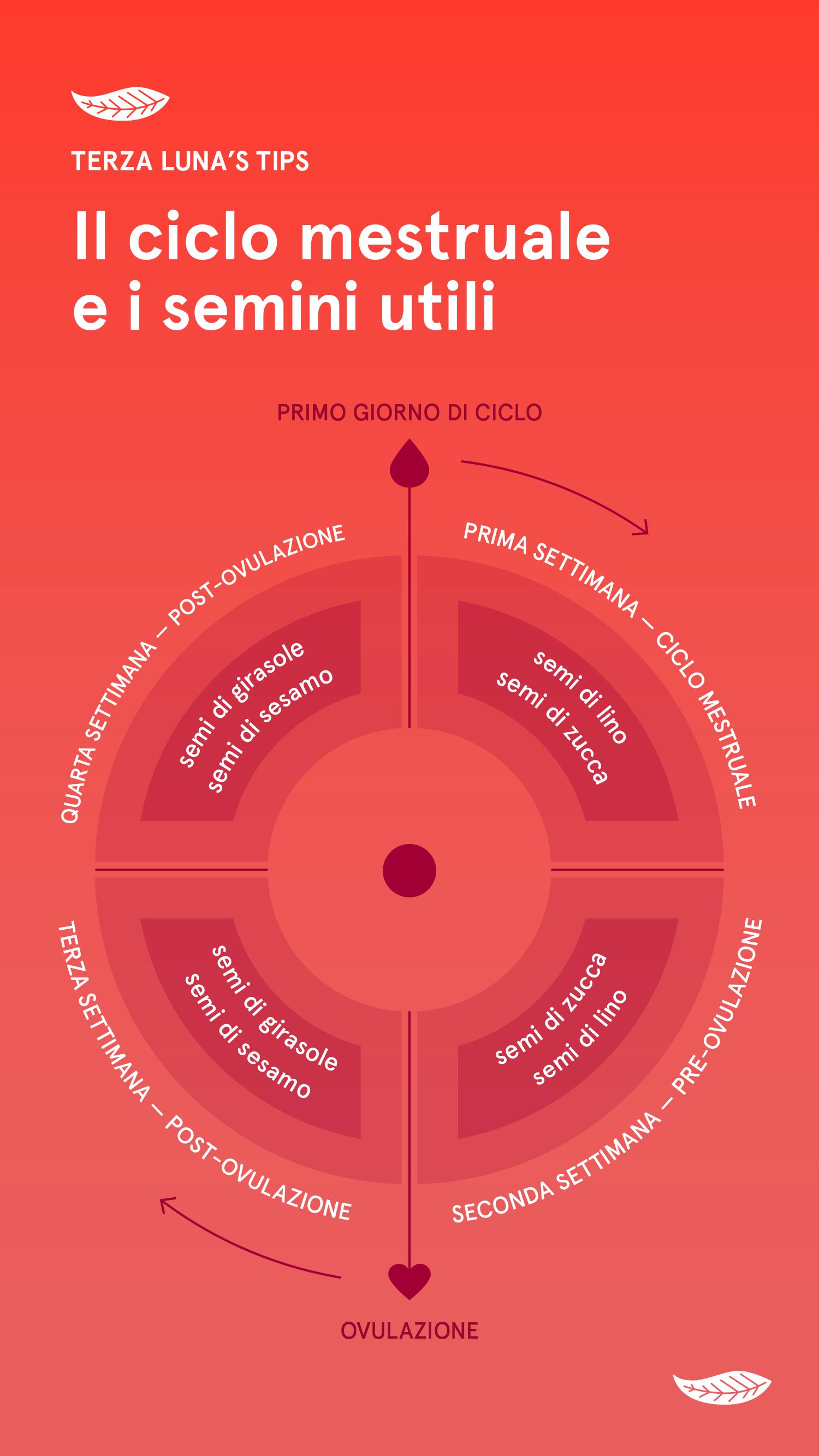 infografía sobre el uso de semillas durante el ciclo menstrual